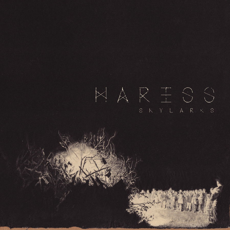 CD Shop - HARESS SKYLARKS