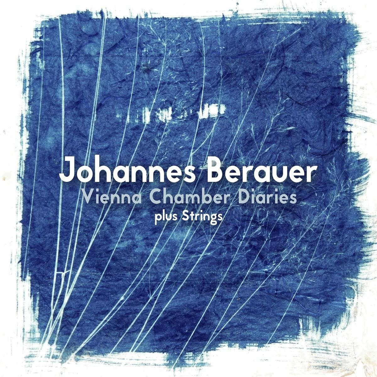 CD Shop - JOHANNES BERAUER VIENNA CHAMBER DIARIES..