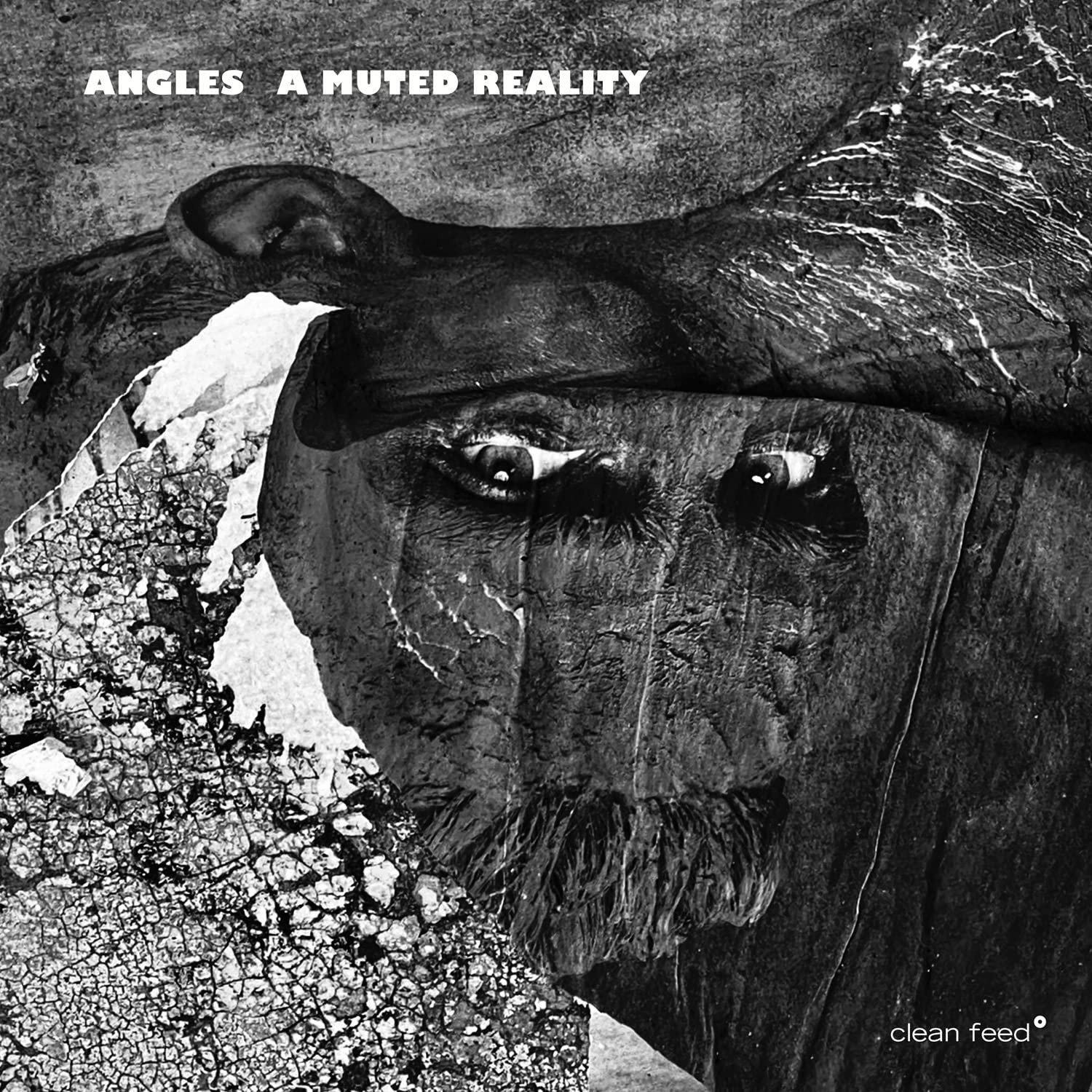 CD Shop - ANGLES A MUTED REALITY