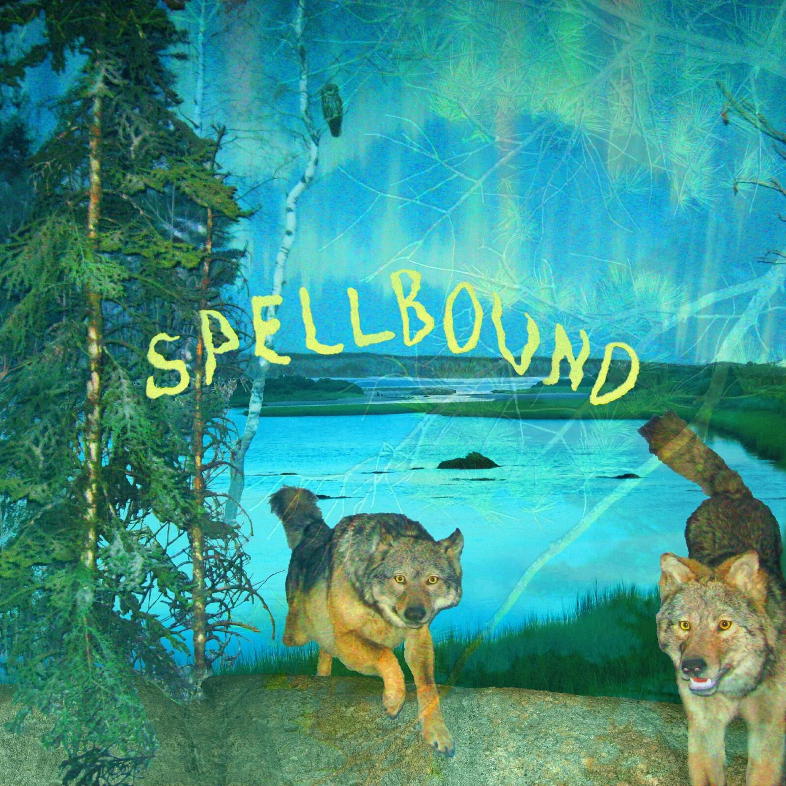 CD Shop - BOYSCOTT SPELLBOUND