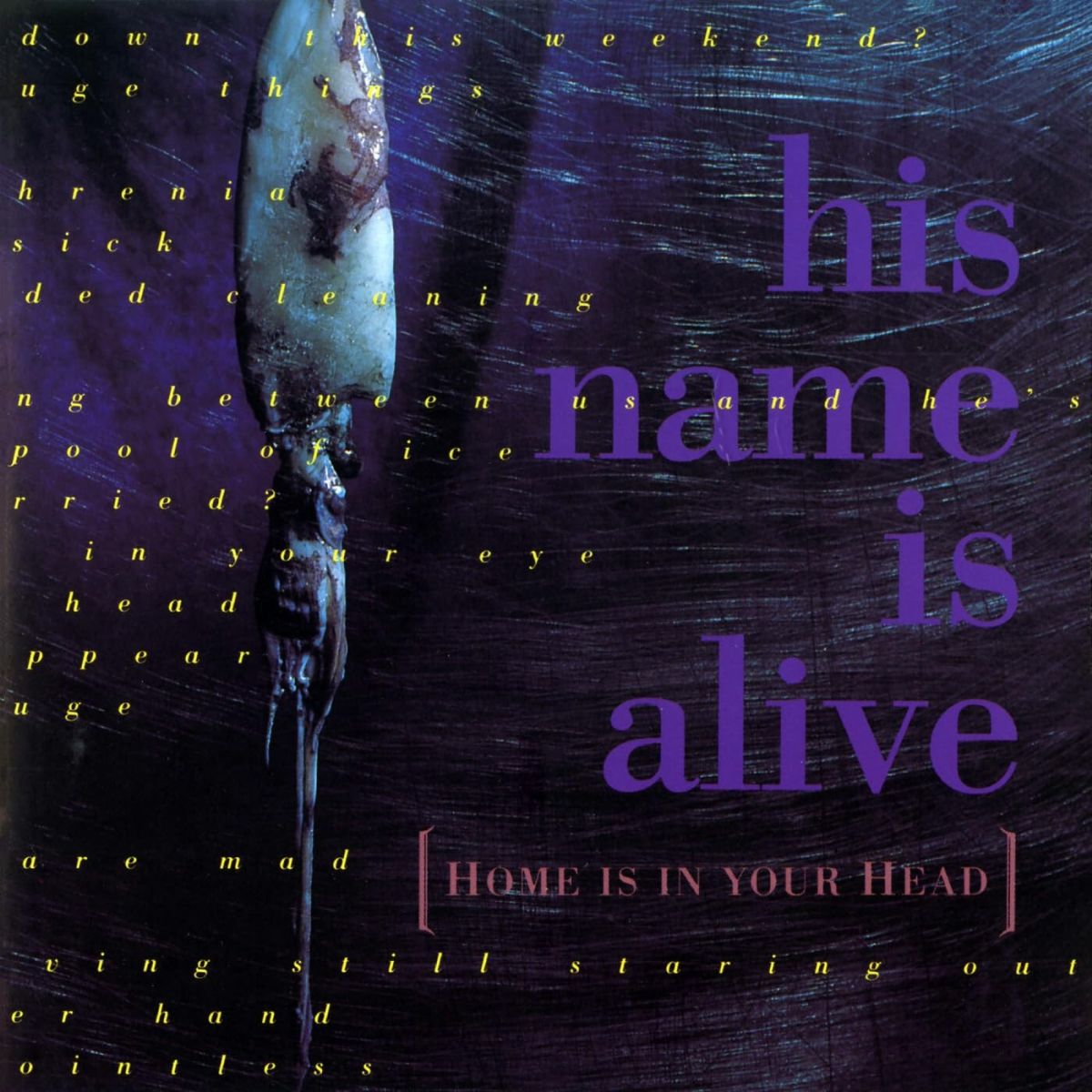 CD Shop - HIS NAME IS ALIVE HOME IS IN YOUR HEAD
