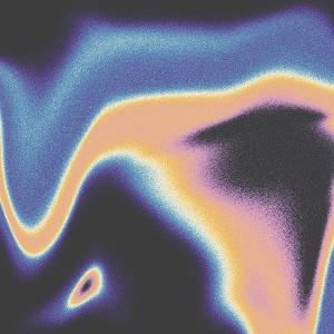 CD Shop - JAMIE LIDELL,LUKE SCHNEIDER A COMPANION FOR THE SP...