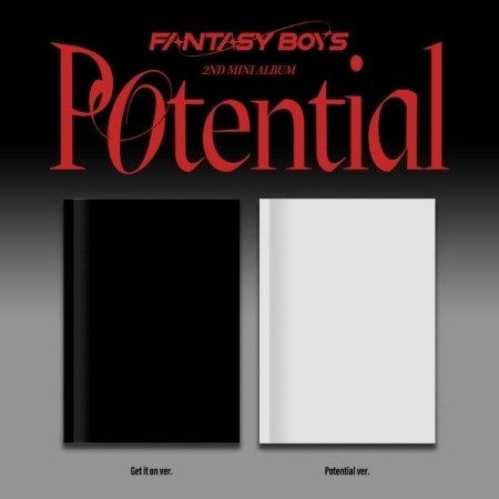CD Shop - FANTASY BOYS POTENTIAL