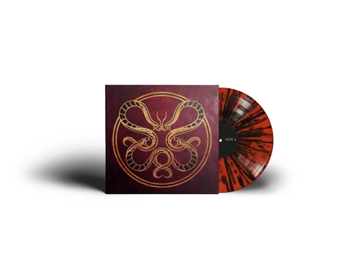 CD Shop - VICIOUS RAIN ANATOMY