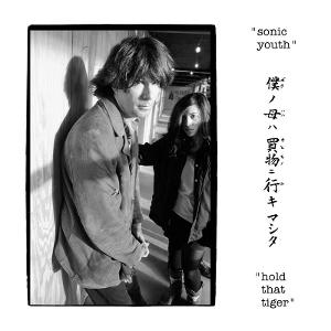 CD Shop - SONIC YOUTH HOLD THAT TIGER