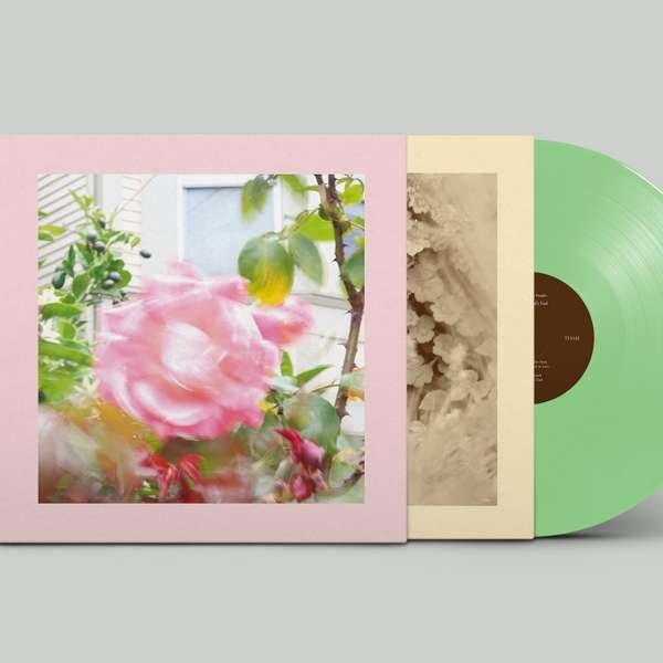 CD Shop - PINKS AND PURPLES REDS SUMMER AT LAND\