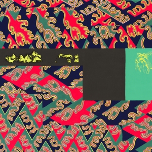 CD Shop - NATURAL INFORMATION SOCIETY WITH EVAN PARKER DESCENSION (OUT OF OUR...