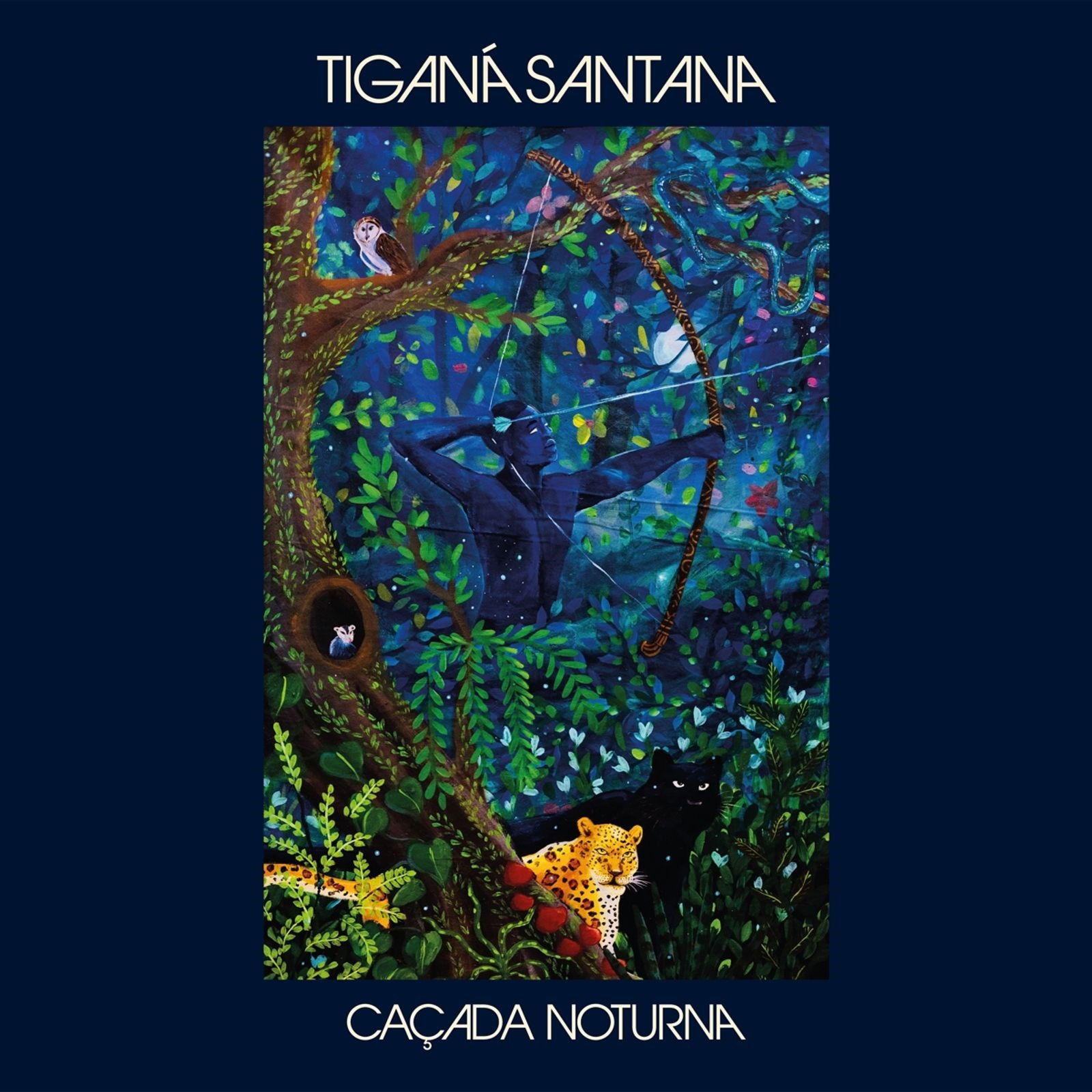 CD Shop - TIGANA SANTANA CASADA NOTURNA