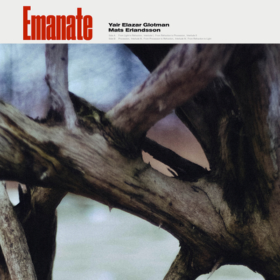CD Shop - YAIR ELAZAR GLOTMAN & MATS ERLANDSSON - 