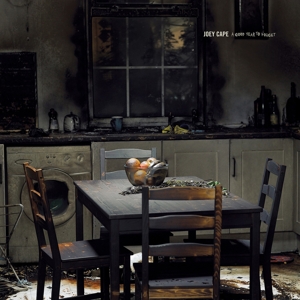 CD Shop - JOEY CAPE A GOOD YEAR TO FORGET