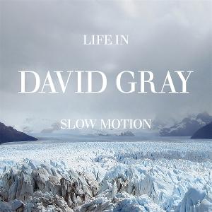 CD Shop - GRAY, DAVID LIFE IN SLOW MOTION 20TH A