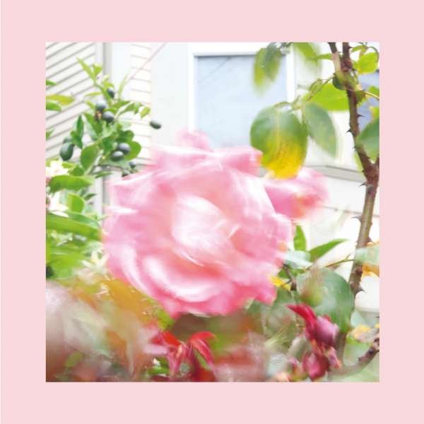 CD Shop - PINKS AND PURPLES REDS SUMMER AT LAND\