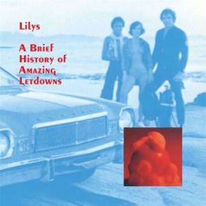 CD Shop - LILYS A BRIEF HISTORY OF AMA...