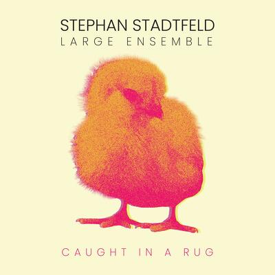 CD Shop - STEPHAN STADTFELD LARGE ENSEMBLE CAUGHT IN A RUG