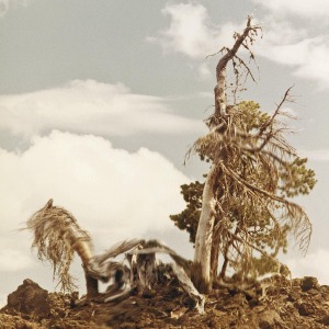 CD Shop - PEOPLE OF THE NORTH STEEP FORMATIONS