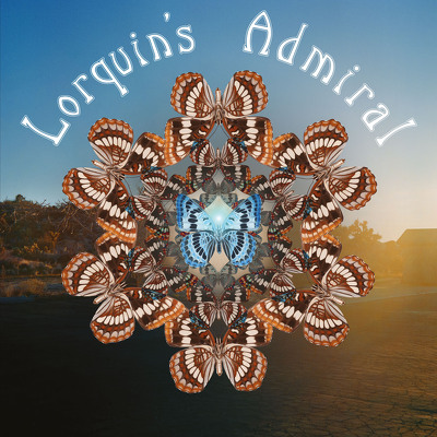 CD Shop - LORQUINS ADMIRAL LORQUINS ADMIRAL