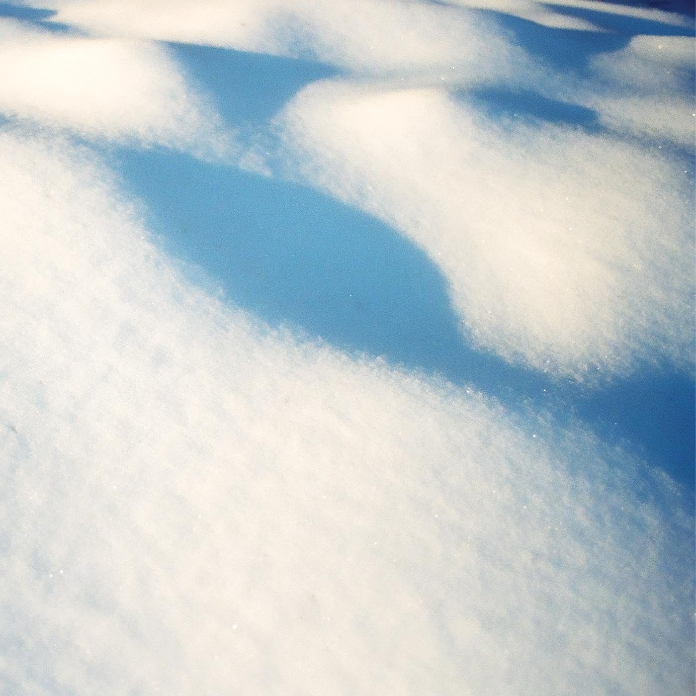 CD Shop - FLORE LAURENTIENNE 8 TABLEAUX