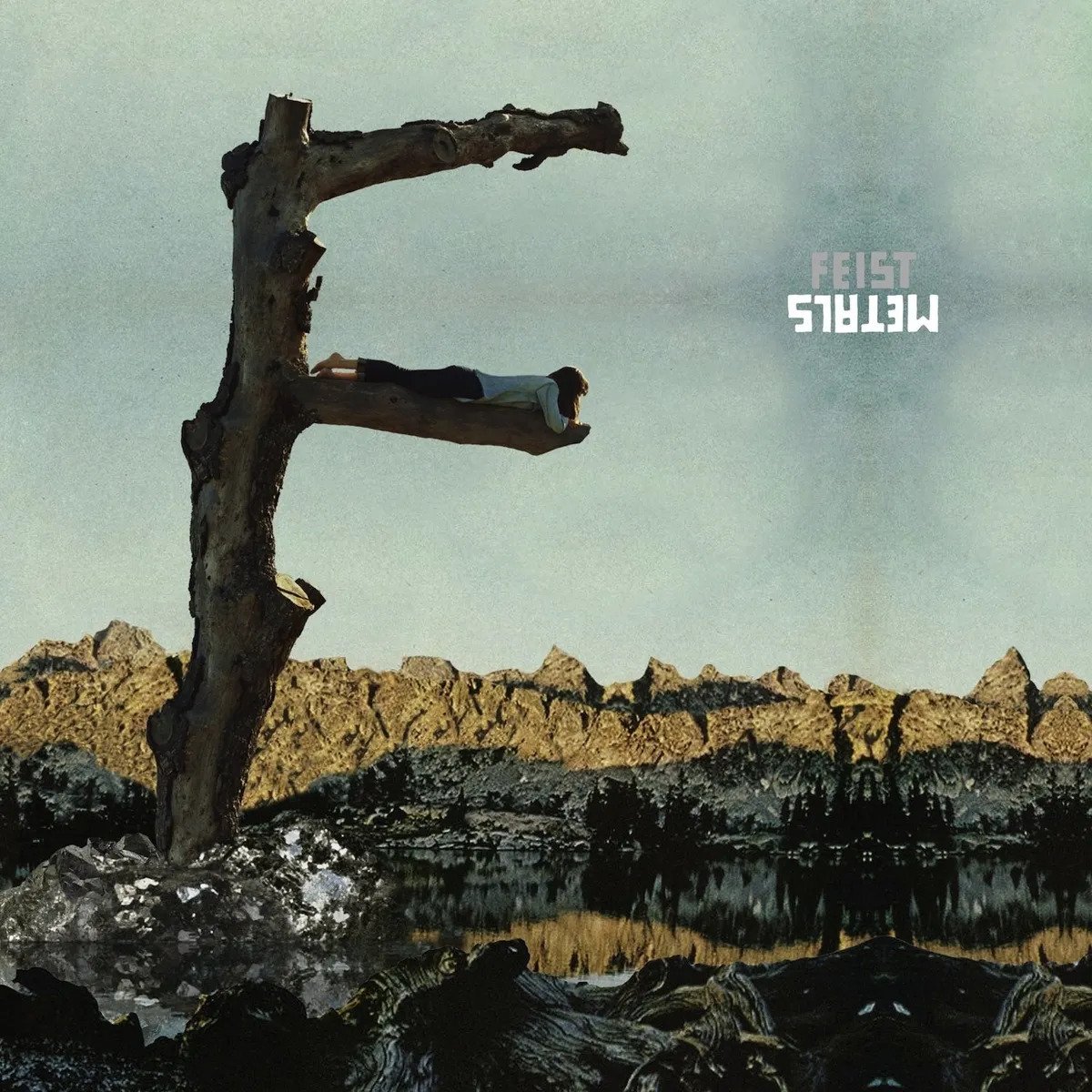 CD Shop - FEIST METALS