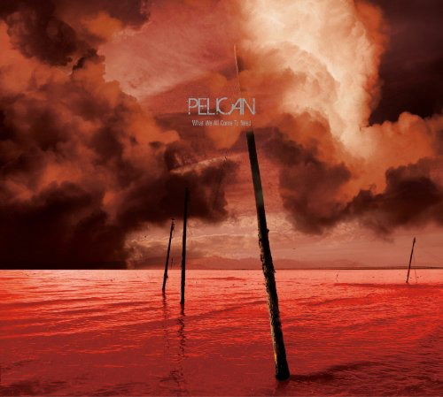CD Shop - PELICAN WHAT WE ALL COME TO NEED