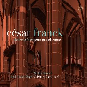CD Shop - STEFAN SCHMIDT FRANCK: DOUZE PIECES P...