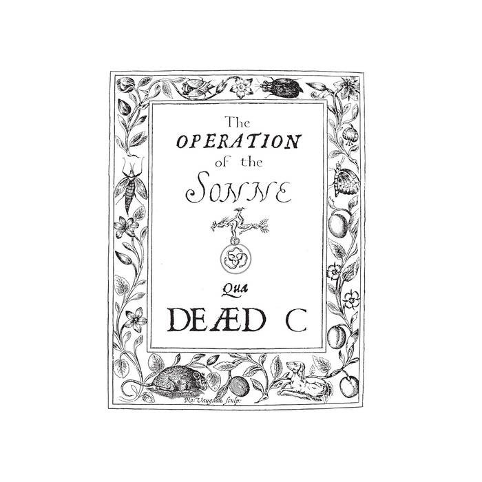 CD Shop - DEAD C OPERATION OF THE SONNE