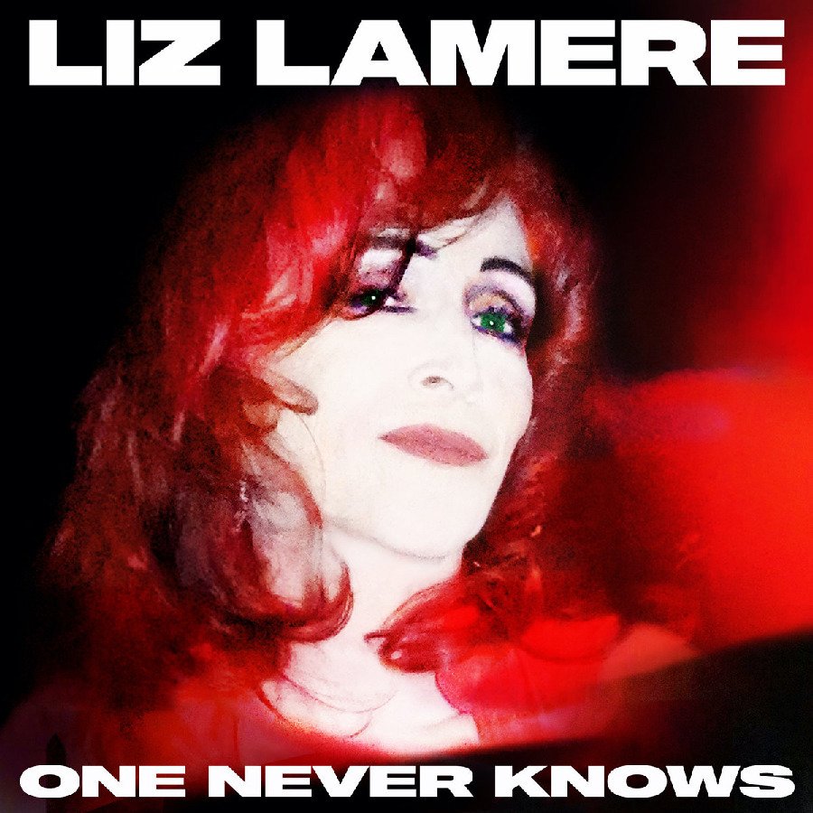 CD Shop - LIZ LAMERE ONE NEVER KNOWS