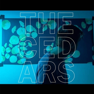CD Shop - JOHN VANDERSLICE CEDARS