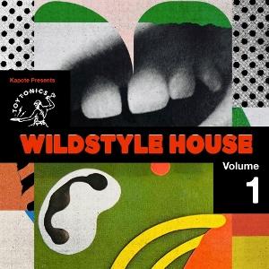 CD Shop - KAPOTE PRESENTS WILDSTYLE HOUSE VOL.1