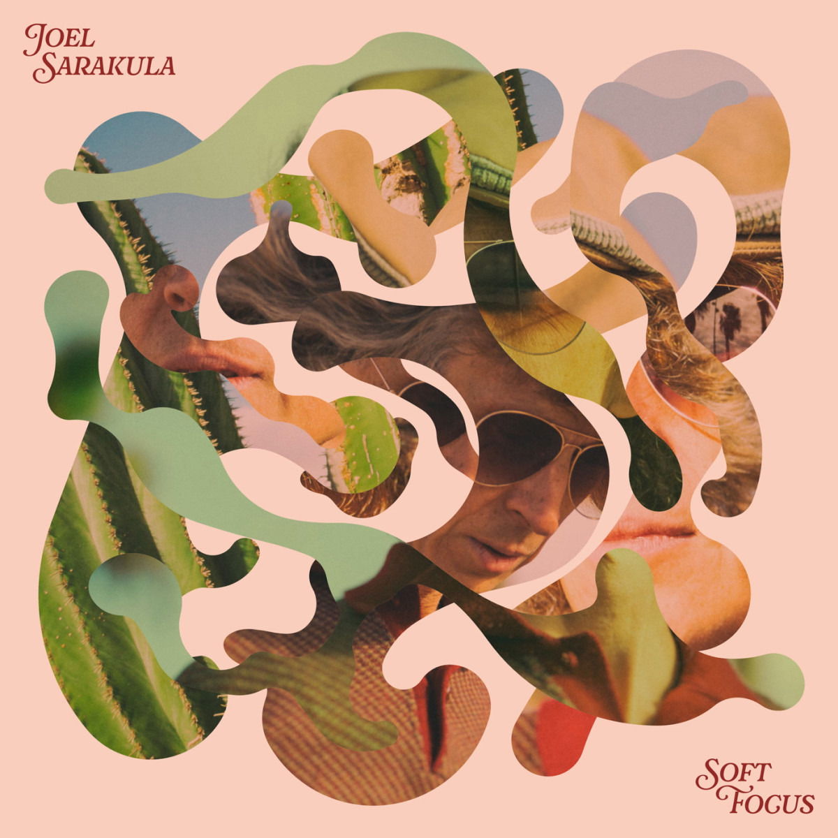 CD Shop - JOEL SARAKULA SOFT FOCUS