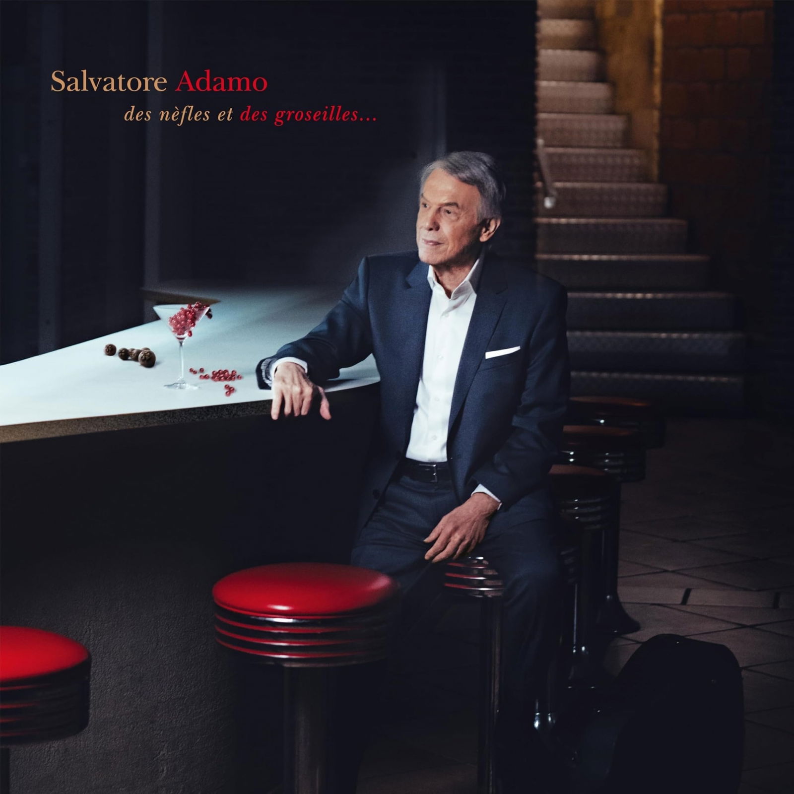 CD Shop - SALVATORE ADAMO DES NEFLES ET DES GROS...