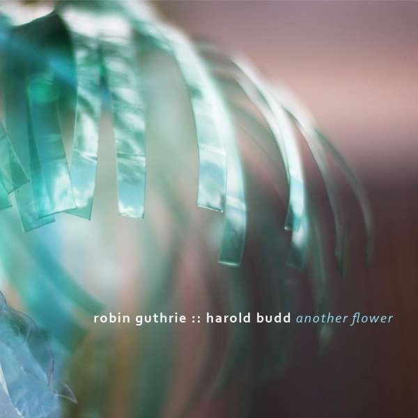 CD Shop - ROBIN & HAROLD BUDD GUTHRIE ANOTHER FLOWER