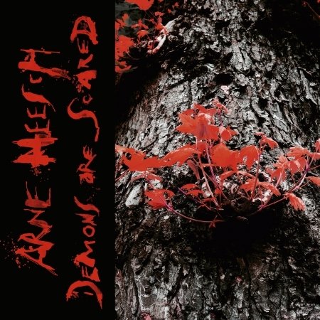 CD Shop - ARNE HEESCH DEMONS ARE SCARED