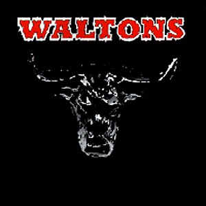 CD Shop - WALTONS ESSENTIAL COUNTRY BULL...