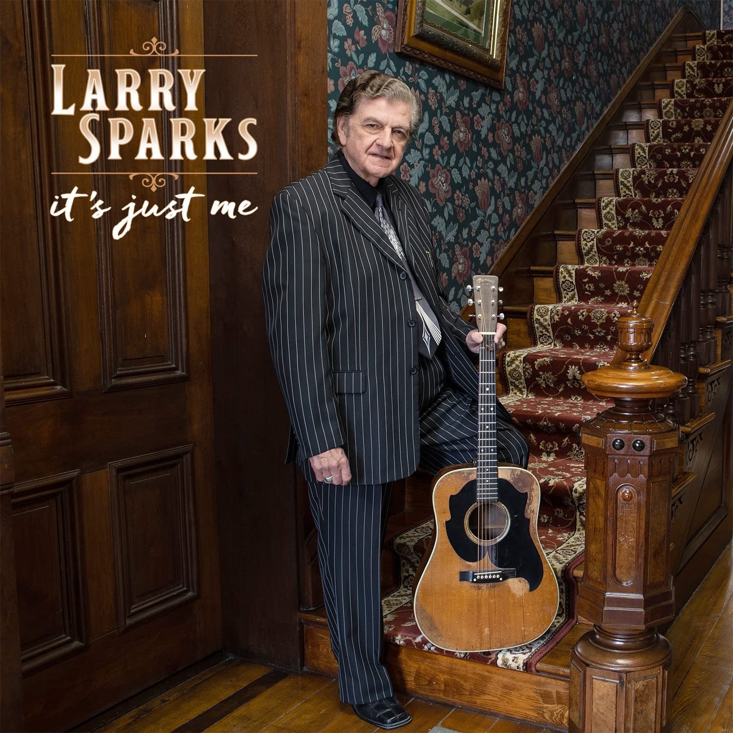 CD Shop - LARRY SPARKS IT\