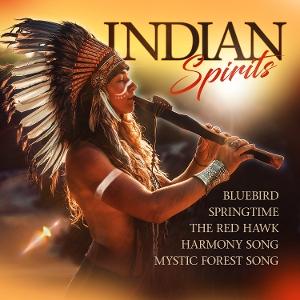 CD Shop - VARIOUS ARTISTS INDIAN SPIRITS
