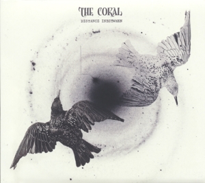 CD Shop - CORAL, THE DISTANCE INBETWEEN