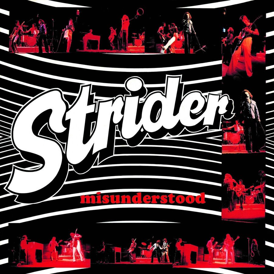 CD Shop - STRIDER MISUNDERSTOOD