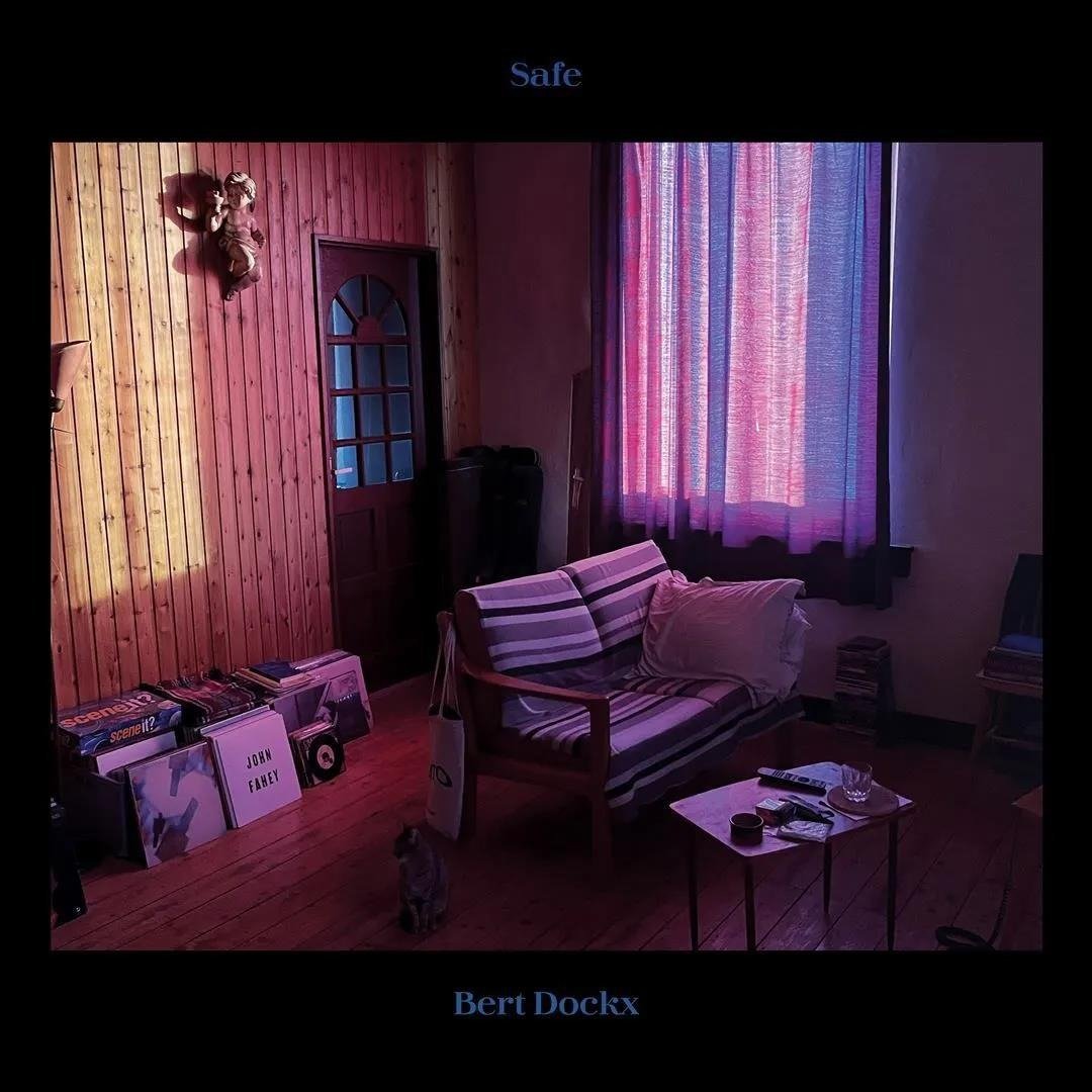 CD Shop - BERT DOCKX SAFE