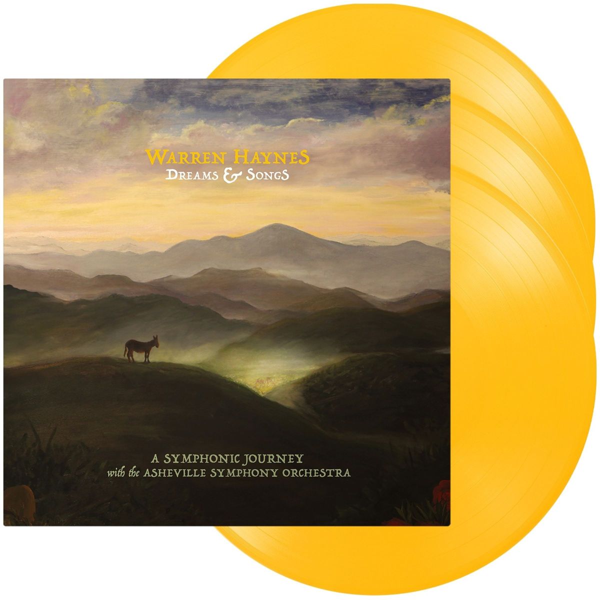 CD Shop - WARREN HAYNES DREAMS & SONGS
