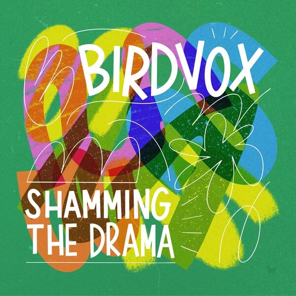CD Shop - BIRDVOX SHAMMING THE DRAMA