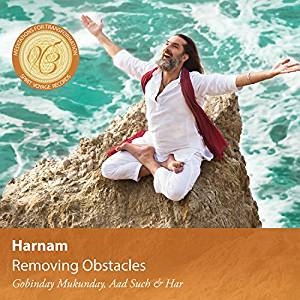 CD Shop - HARNAM REMOVING OBSTACLES