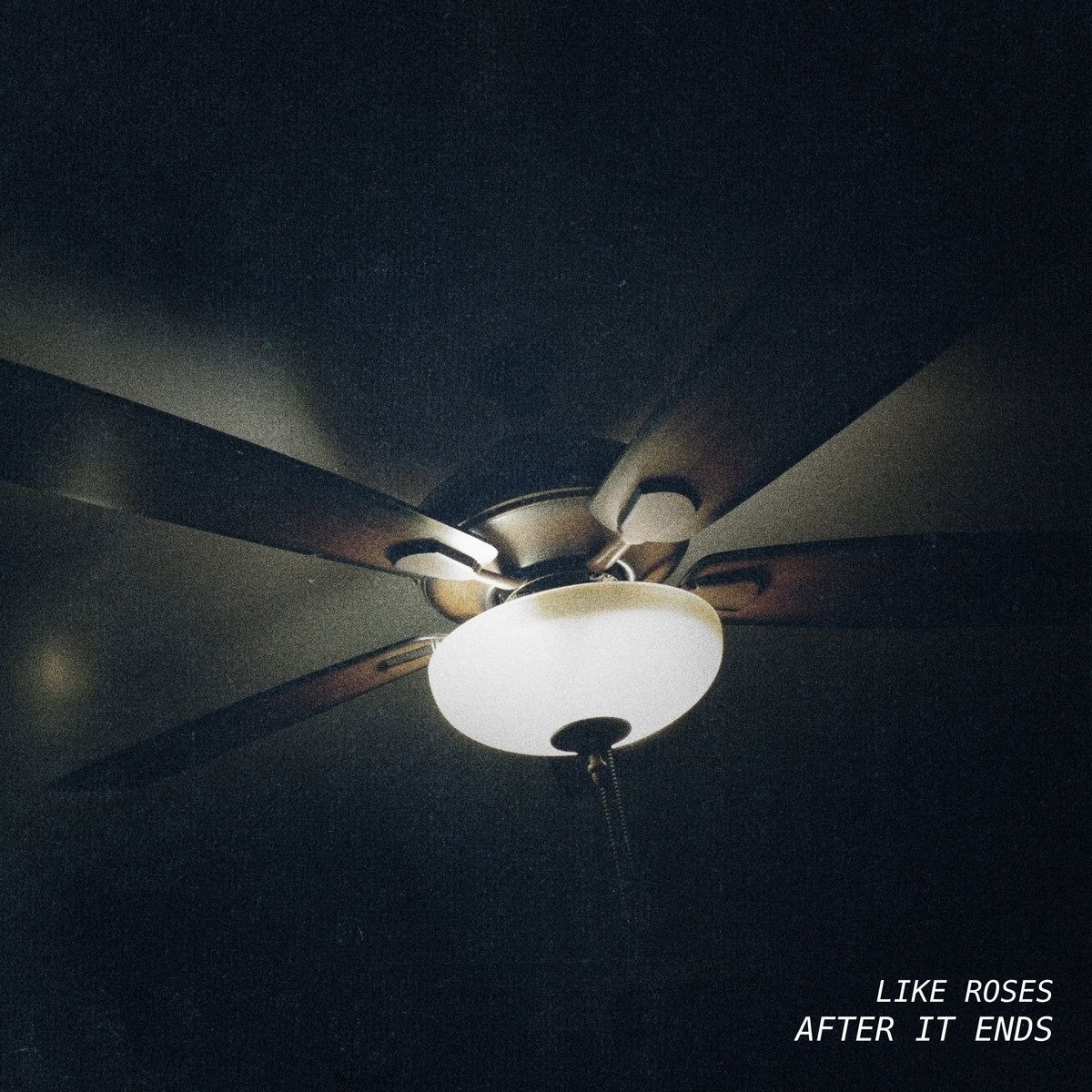 CD Shop - LIKE ROSES AFTER IT ENDS