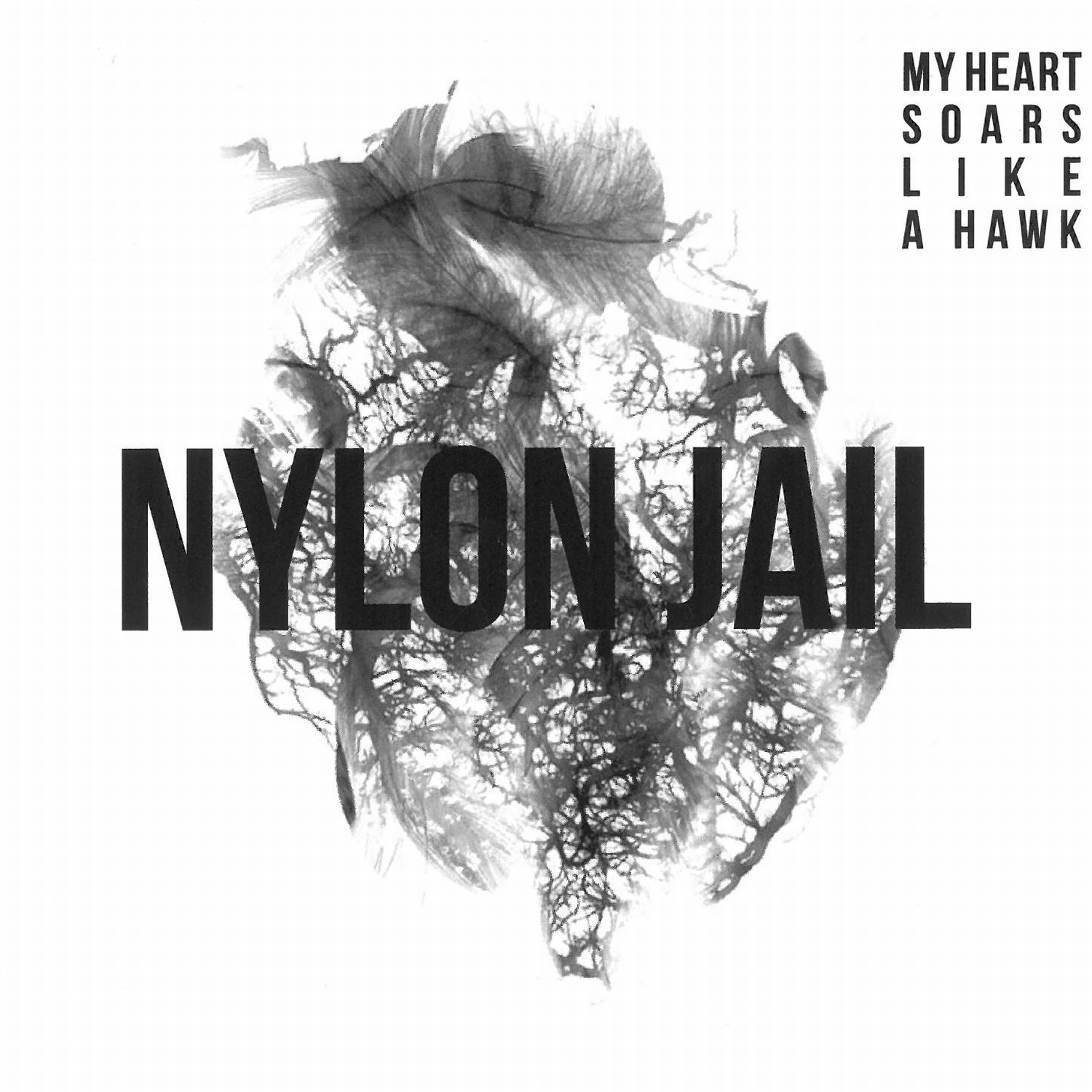 CD Shop - NYLON JAIL 
