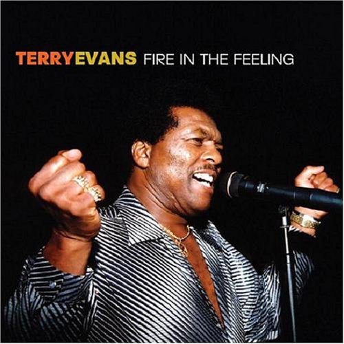 CD Shop - TERRY EVANS FIRE IN THE FEELING