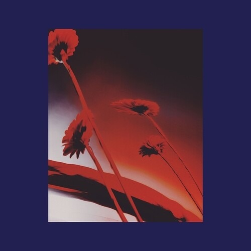 CD Shop - VARIOUS ARTISTS NOTHING EVER WAS: COMPILED BY DJ SUNDAE