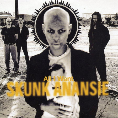 CD Shop - SKUNK ANANSIE ALL I WANT