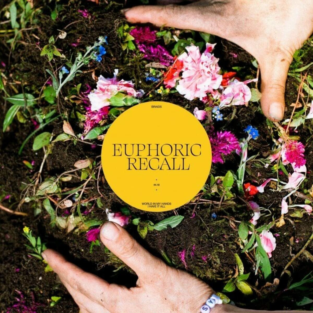 CD Shop - BRAIDS EUPHORIC RECALL