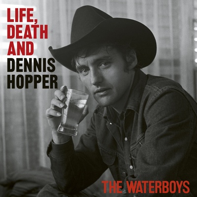 CD Shop - THE WATERBOYS LIFE, DEATH, & DEN...