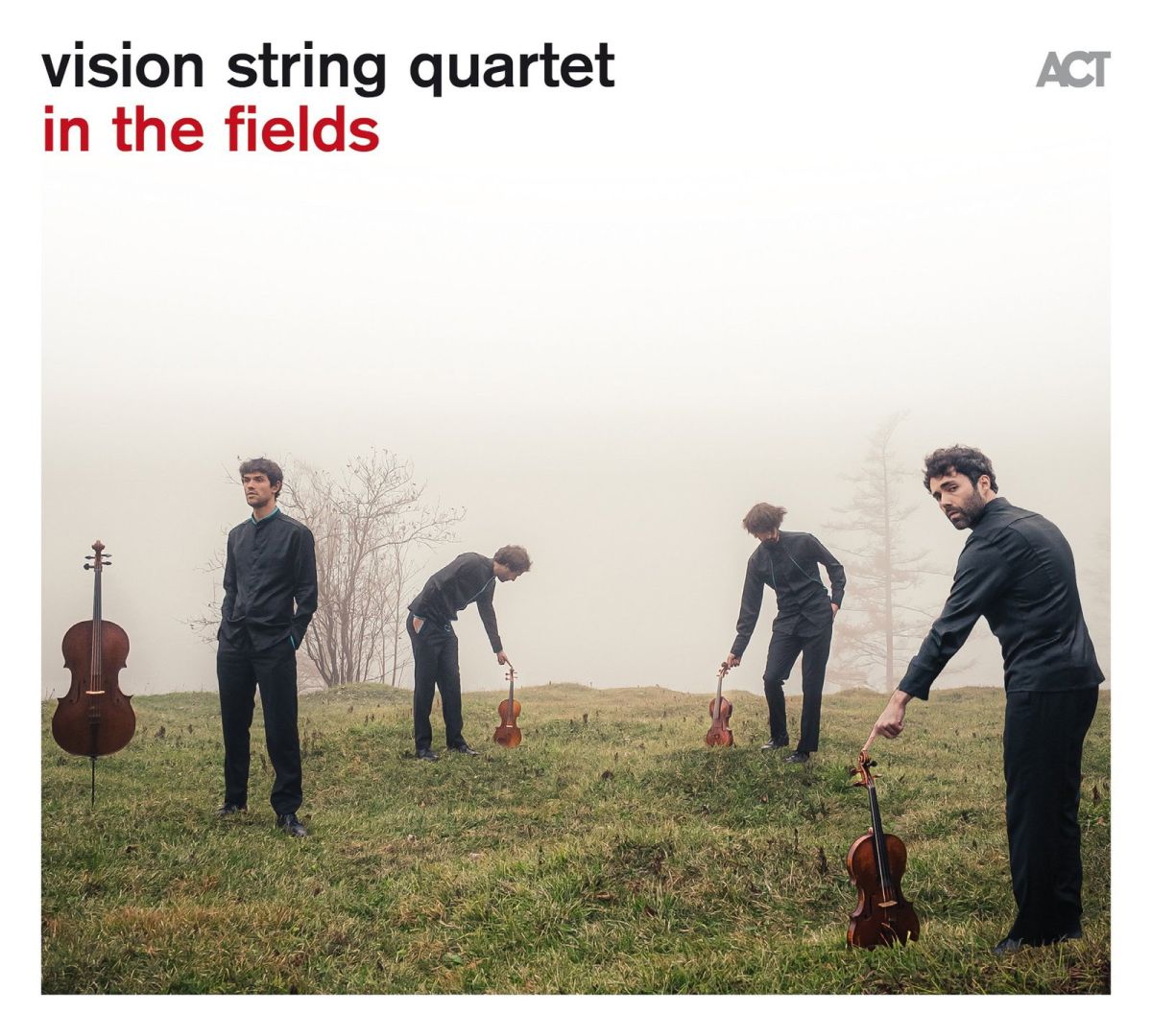 CD Shop - VISION STRING QUARTET IN THE FIELDS