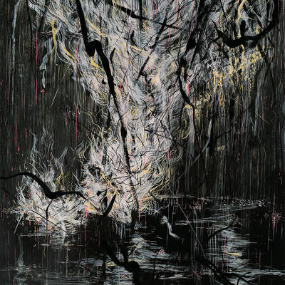 CD Shop - SUMAC LOVE IN SHADOW